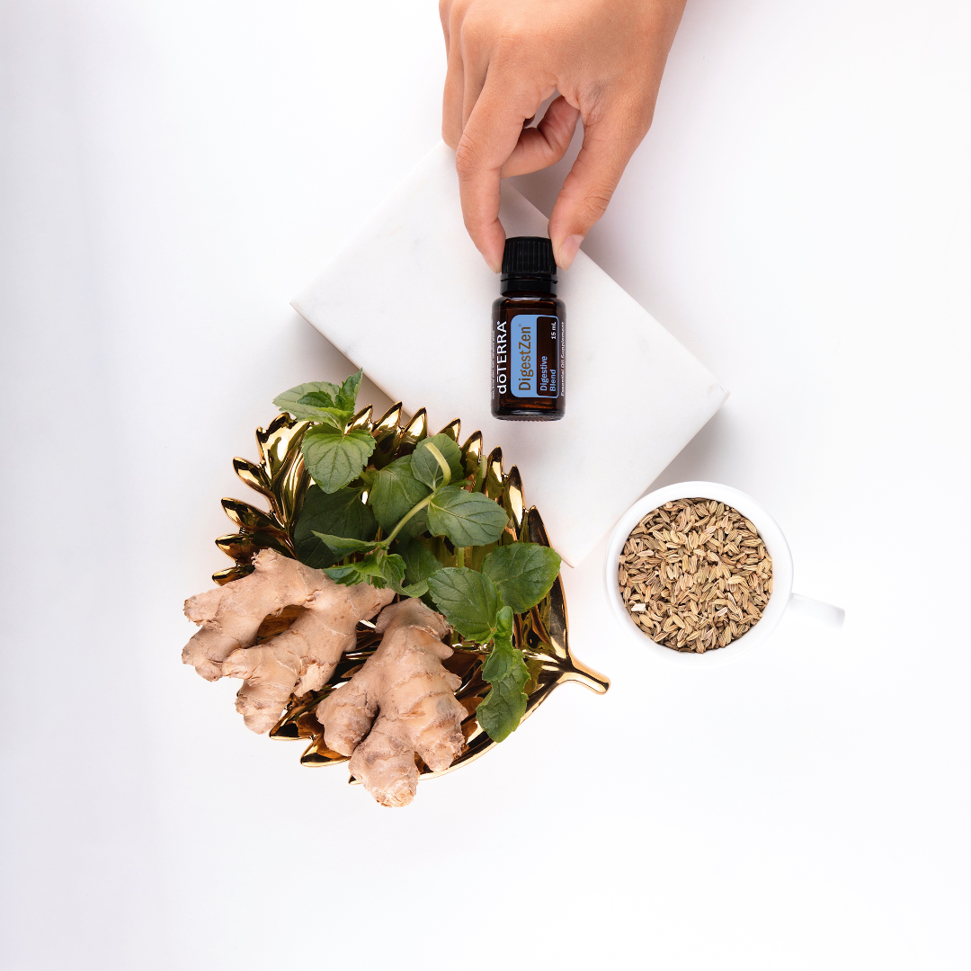 Храносмилателна система